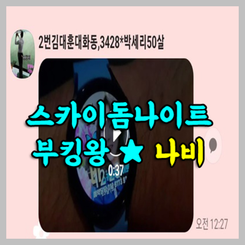 야당스카이돔나이트
