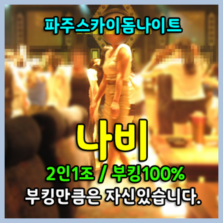 야당스카이돔나이트